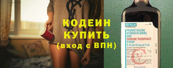 гашик Ладушкин