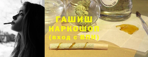 гашик Ладушкин