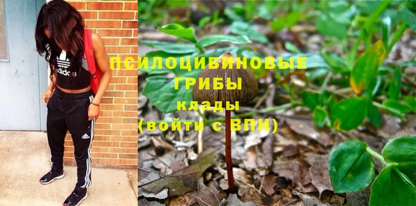 гашик Ладушкин