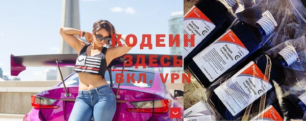 гашик Ладушкин