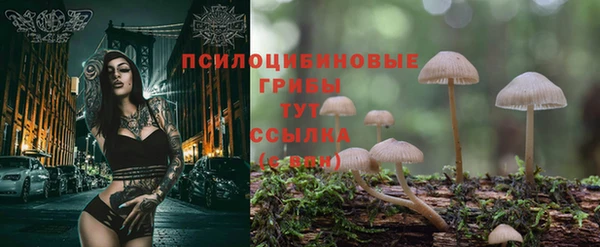 гашик Ладушкин