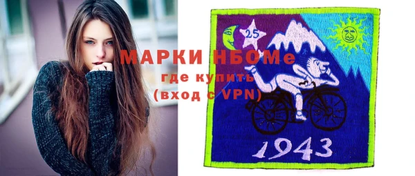гашик Ладушкин