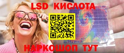 шишки Кимры