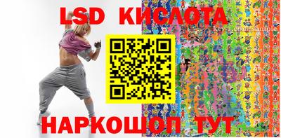 шишки Кимры