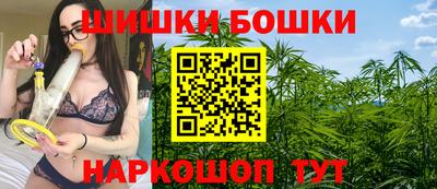 тгк Кингисепп