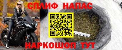 тгк Кингисепп