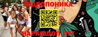 тгк Кингисепп