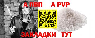 шишки Кимры
