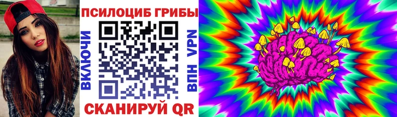 blacksprut как войти  Чапаевск  Галлюциногенные грибы мухоморы 