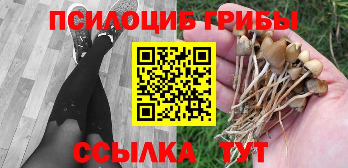 Галлюциногенные грибы GOLDEN TEACHER Чапаевск