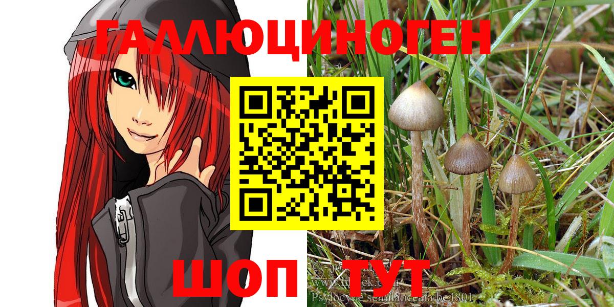 Галлюциногенные грибы Cubensis  Чапаевск  Псилоцибиновые грибы Psilocybine cubensis 