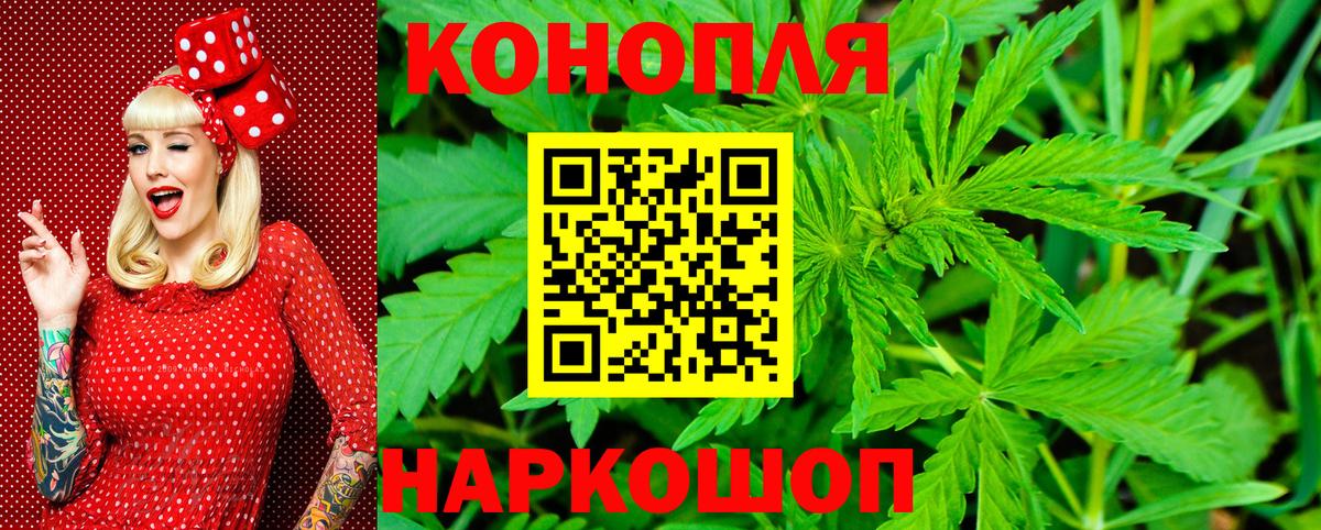 Марихуана план  Бошки марихуана Ganja  Чапаевск  Каннабис ГИДРОПОН 